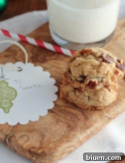 A close-up of a freshly baked chocolate chip cookie, rich with melted chocolate