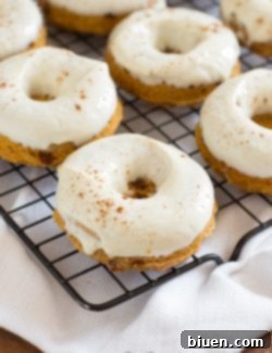 Skinny Pumpkin Cinnamon Chip Donuts 2 img 4052 9