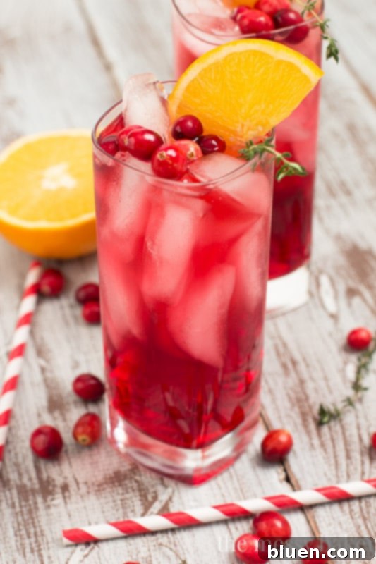 Close-up of a vibrant Cranberry-Orange Gin Fizz with fresh thyme, showcasing its beautiful festive color in a holiday setting.