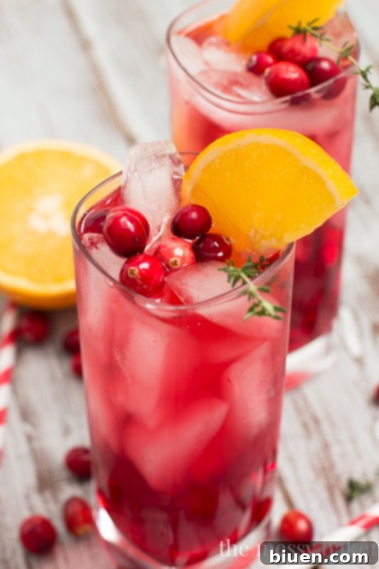 A stylish Cranberry-Orange Gin Fizz Cocktail, beautifully presented with frozen cranberries and an orange wedge, perfect for holiday celebrations.