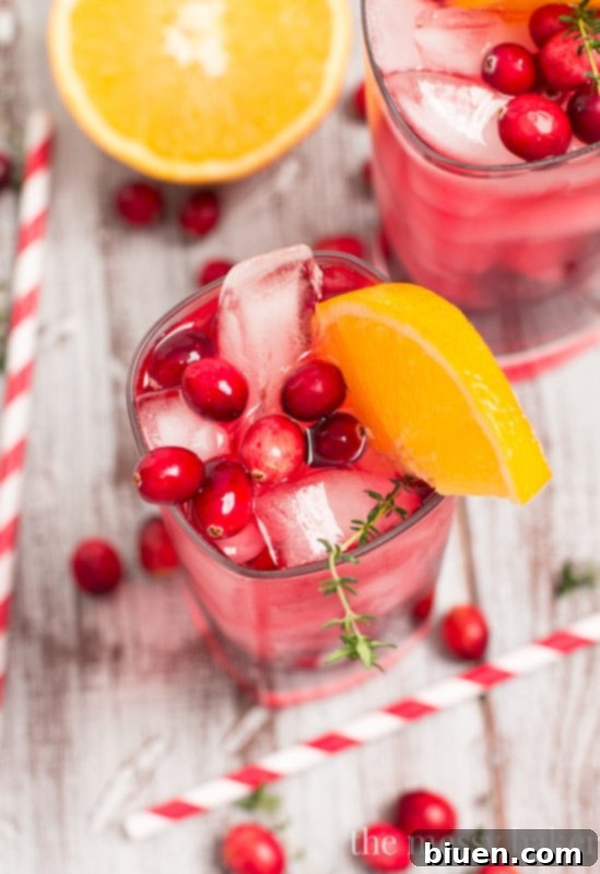 A finished Cranberry-Orange Gin Fizz cocktail, with a view of the festive bubbles and garnish, ready to be enjoyed by the Christmas tree.