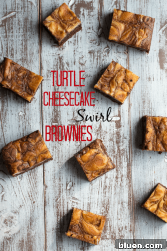 Decadent Turtle Cheesecake Swirl Brownies 2 Turtle Cheesecake Swirl Brownies from www.themessybakerblog.com