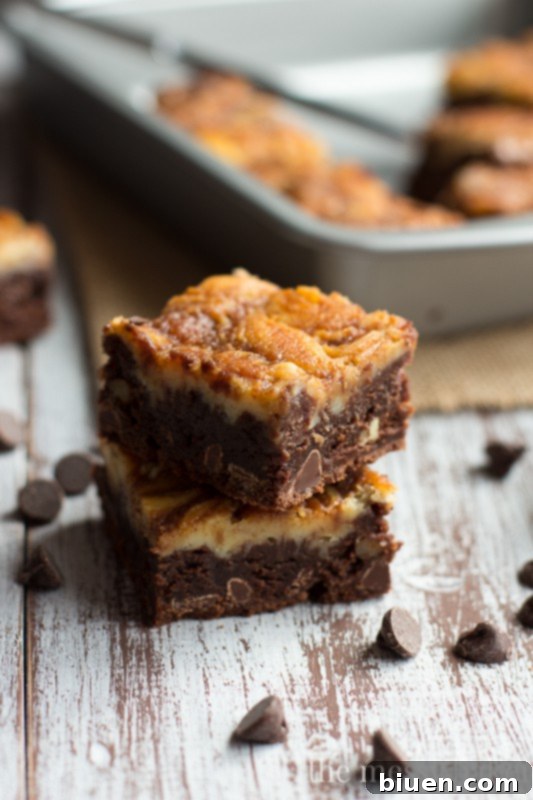 Decadent Turtle Cheesecake Swirl Brownies 3 Turtle Cheesecake Swirl Brownies from www.themessybakerblog.com