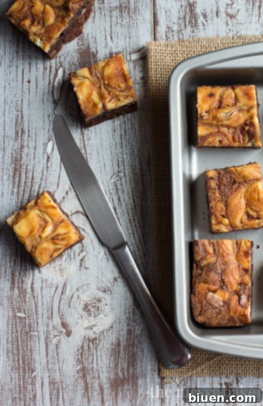 Decadent Turtle Cheesecake Swirl Brownies 4 Turtle Cheesecake Swirl Brownies from www.themessybakerblog.com