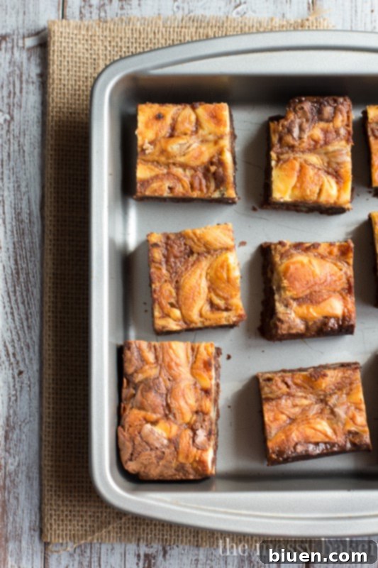 Decadent Turtle Cheesecake Swirl Brownies 7 Turtle Cheesecake Swirl Brownies from www.themessybakerblog.com