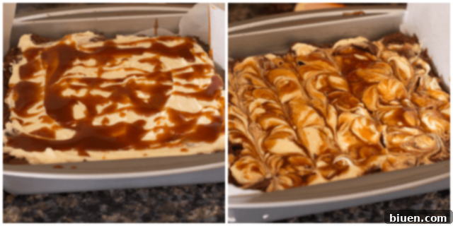 Decadent Turtle Cheesecake Swirl Brownies 8 Turtle Cheesecake Swirl Brownies from www.themessybakerblog.com