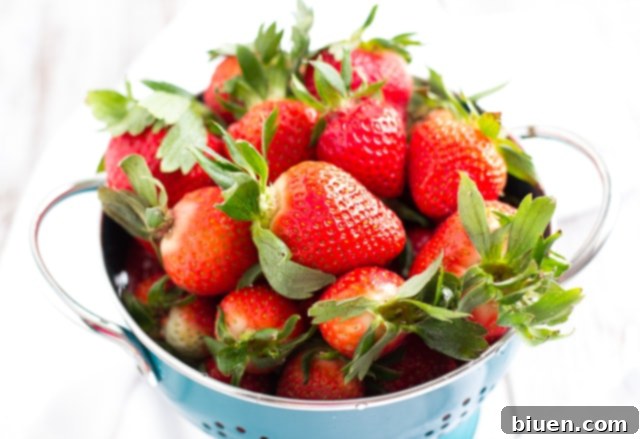 Healthy Peanut Butter Banana Dip 32 Peanut Butter Banana Dip {Healthy} | www.themessybakerblog.com