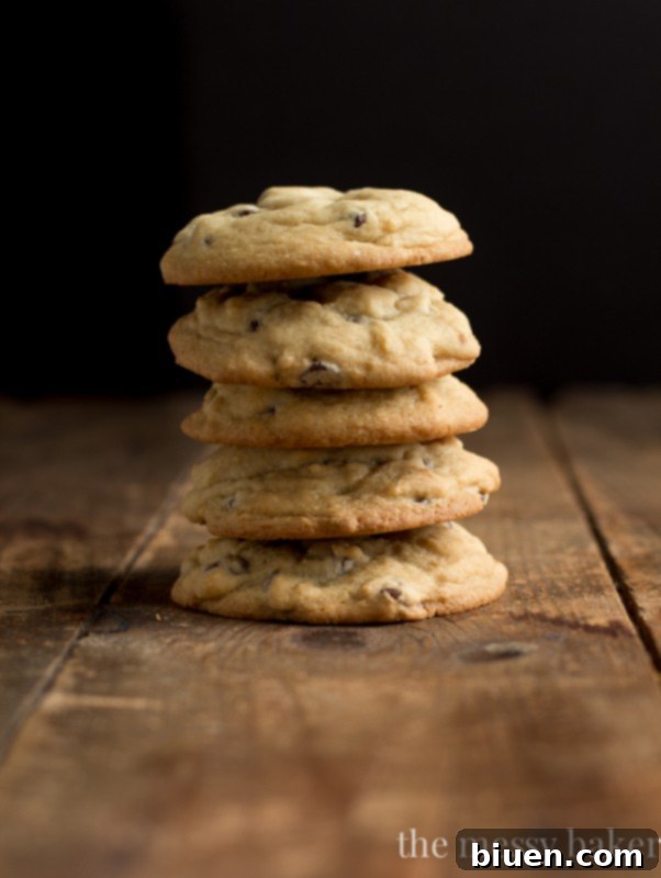One Bowl Chocolate Chip Cookies | Easy Recipe for Soft and Chewy Cookies