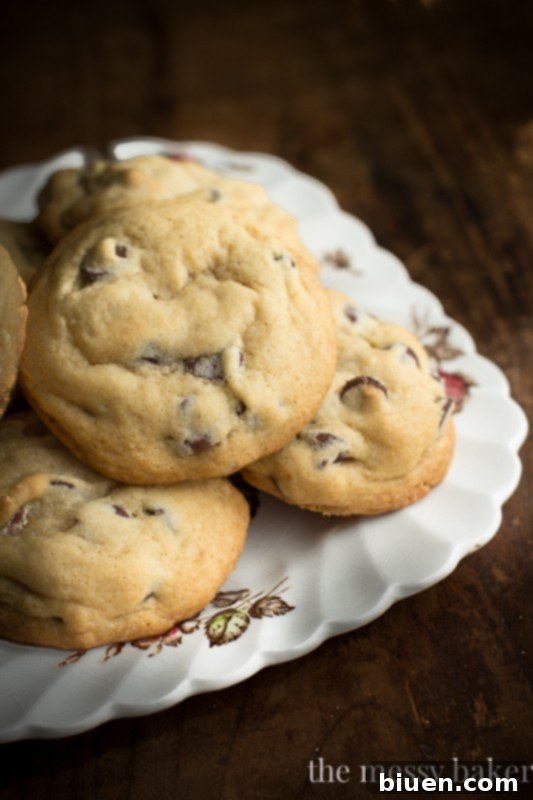 Perfect One-Bowl Chocolate Chip Cookies with Chewy Texture