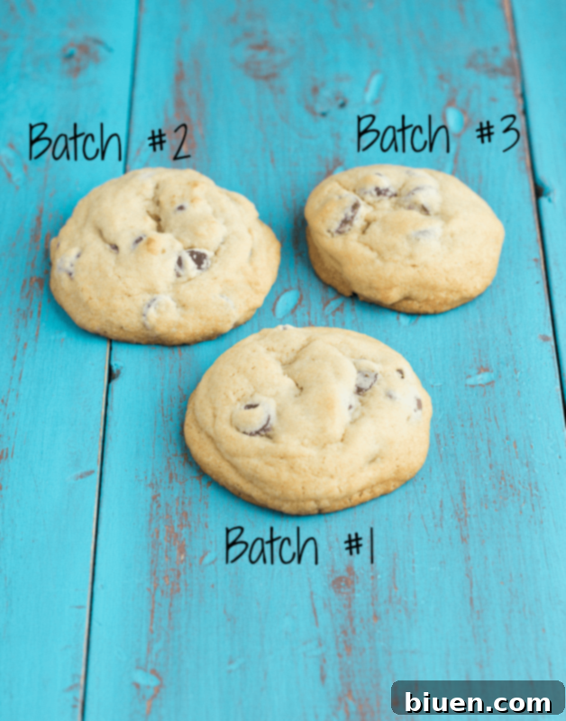 Comparing Chilled vs. No-Chill Cookie Dough for Soft Cookies