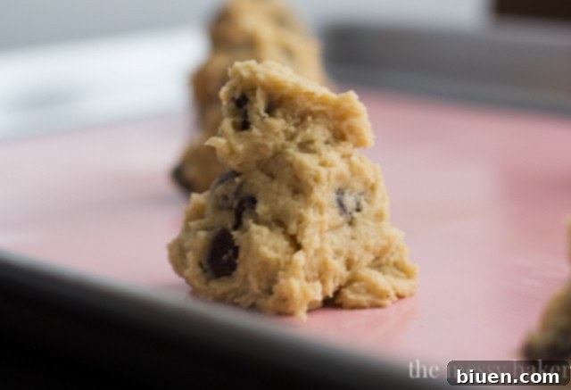 Gentle Mixing Technique for Thick Chocolate Chip Cookies