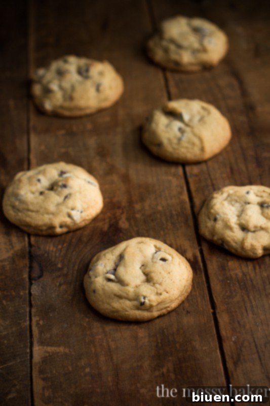 Perfectly Baked Soft Batch Triple Chocolate Chip Cookies