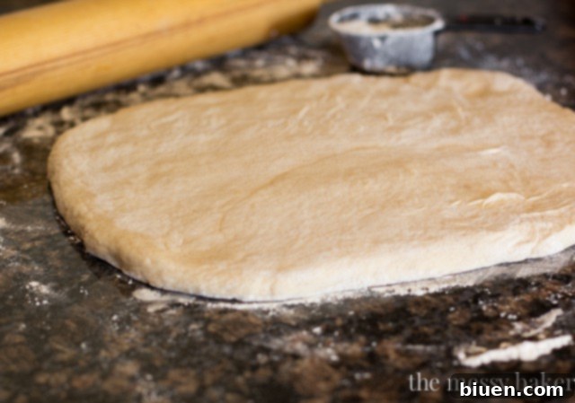 Buttermilk Beignets | www.themessybakerblog.com