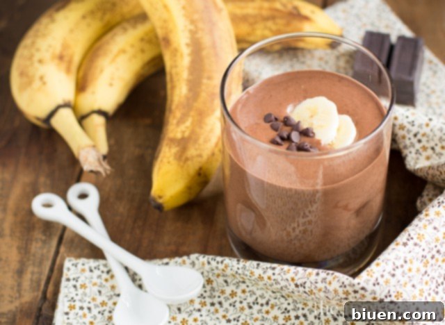 Velvety Chocolate Peanut Butter Banana Blender Pudding 5 Chocolate Peanut Butter Banana Blender Pudding | themessybakerblog.com