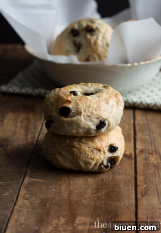 Delicious Homemade Honey Wheat Blueberry Bagels on a wooden board