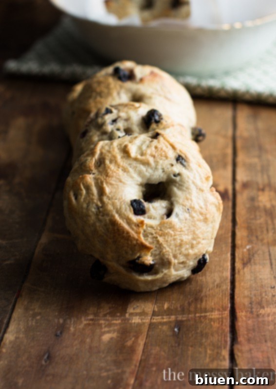 Close-up of perfectly shaped raw Honey Wheat Blueberry Bagels on a counter