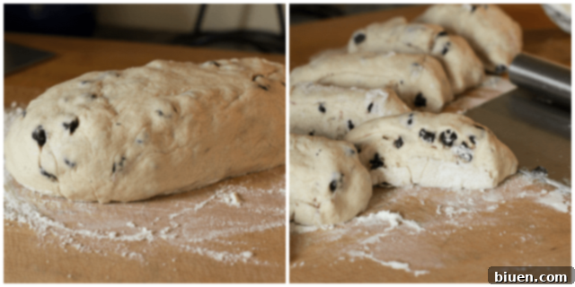 Risen Honey Wheat Blueberry Bagel dough shaped into a log and cut into 8 pieces