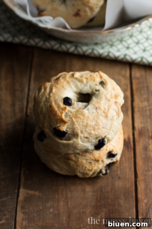 Freshly baked golden-brown Honey Wheat Blueberry Bagels cooling on a wire rack