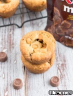 Luscious Butterscotch Chocolate Caramel Cookie Cups 8 Finished Butterscotch Chocolate Caramel Cookie Cups in a serving dish