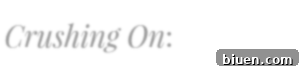 A graphic saying 'Crushing On' with a stylized heart, indicating items the author is currently desiring or admiring.