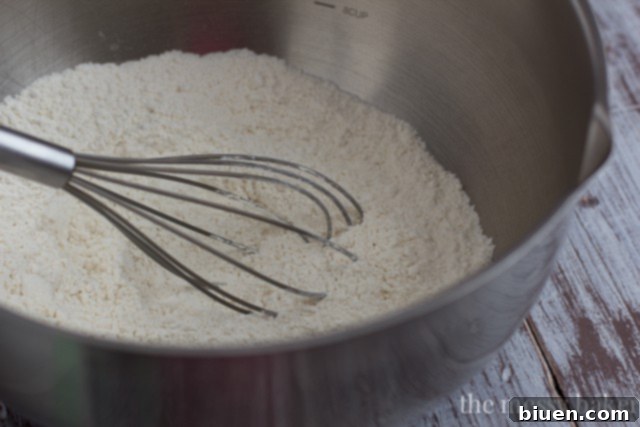 Mixing dry ingredients in a large bowl for buttermilk biscuits