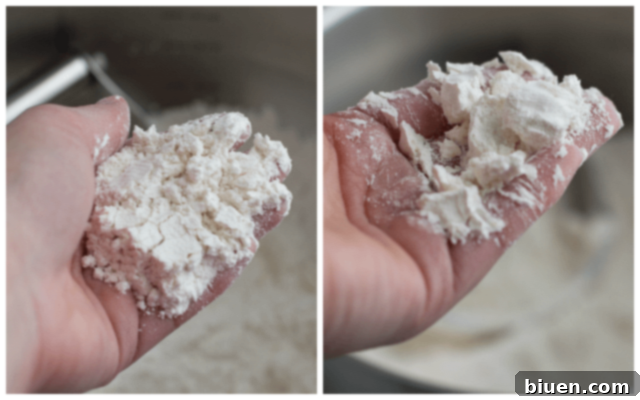 Close-up of biscuit dough resembling coarse crumbs with visible butter pieces