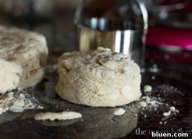 Cutting biscuit rounds with a biscuit cutter on a floured surface