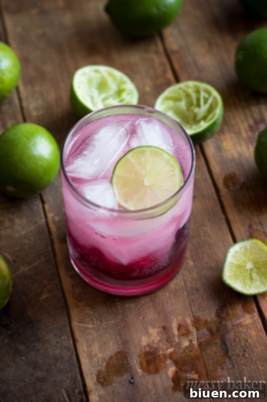 Sparkling Blackberry-Lime Gin Fizz 2 Blackberry-Lime Gin Fizz | A delightful, bubbly cocktail featuring fresh blackberries, gin, and lime, perfect for summer entertaining.