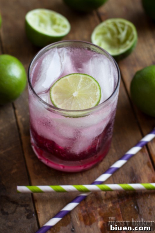 Sparkling Blackberry-Lime Gin Fizz 5 Blackberry-Lime Gin Fizz | A beautifully presented Blackberry-Lime Gin Fizz cocktail ready to be enjoyed, garnished with lime.