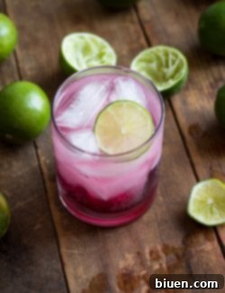 Sparkling Blackberry-Lime Gin Fizz 6 img 5746 5