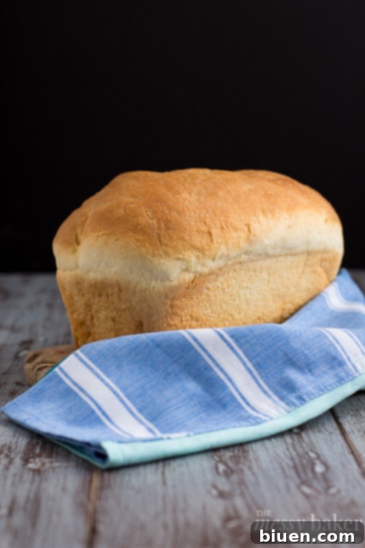 Simple White Bread | The Joy of Homemade Baking