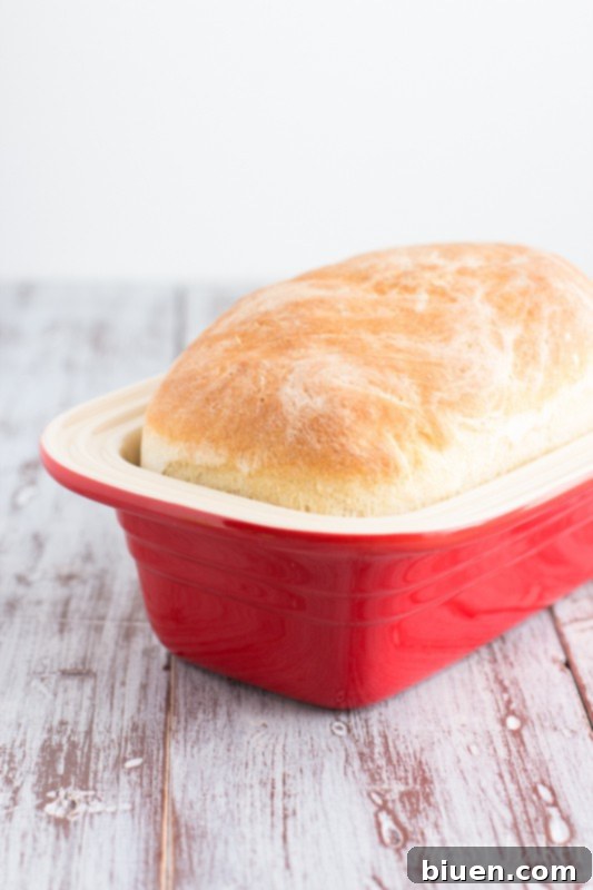 Homemade Dinner Rolls | Easy Bread Recipes