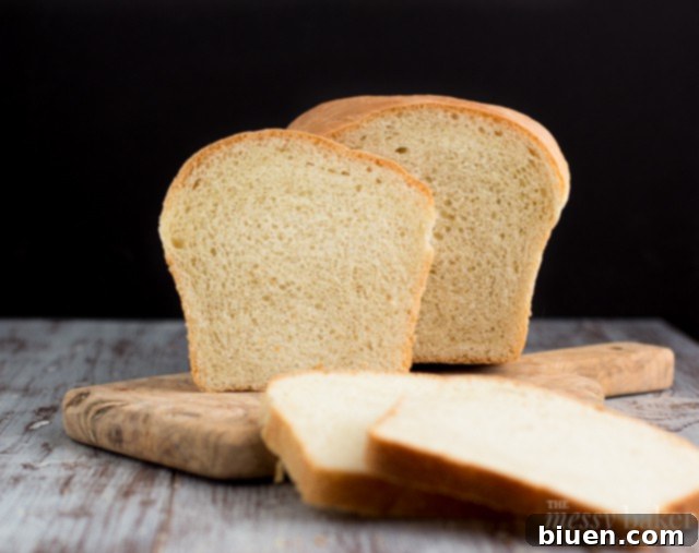 Baking Challenges and Successes | Simple White Bread