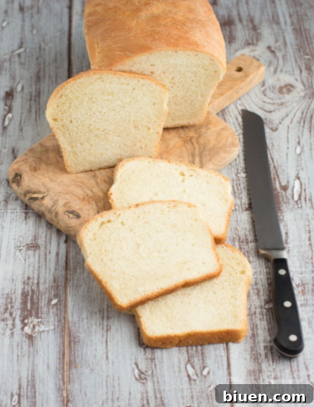 The Great Dough Explosion | Bread Baking Mistakes