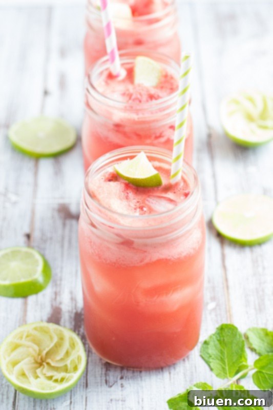 Blended Watermelon Mint Cooler mixture