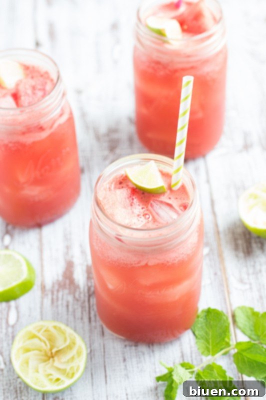 Finished Watermelon Mint Cooler garnished with lime, watermelon, and mint