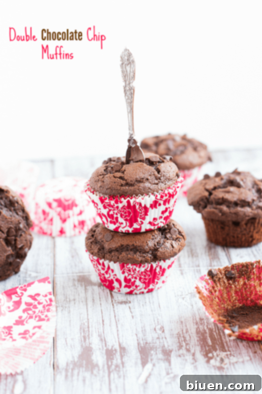 Delicious and moist double chocolate chip muffins on a cooling rack