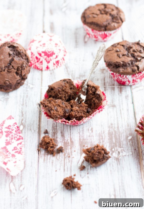 Ingredients for double chocolate chip muffins laid out on a kitchen counter, showing flour, cocoa, eggs, butter, sugars, and chocolate chips