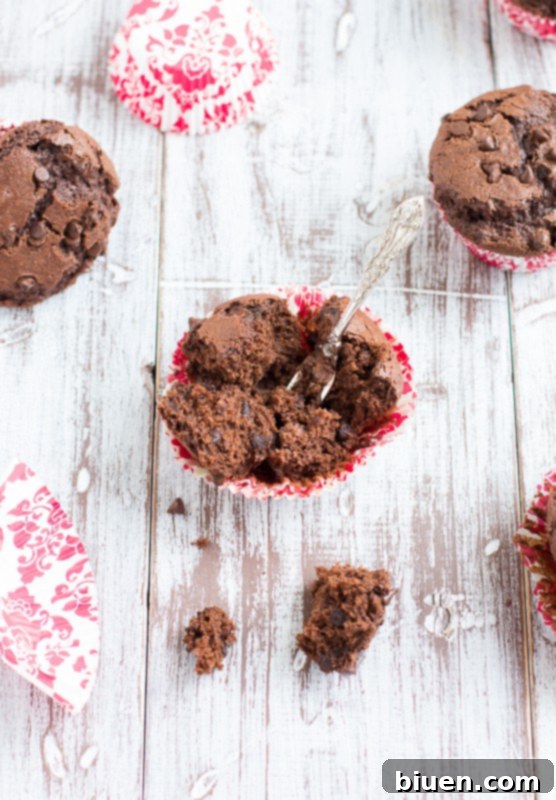 Several double chocolate chip muffins showing their rich texture and melty chocolate chips inside