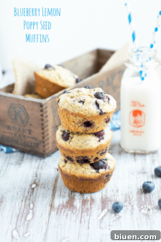 Bright Blueberry Lemon Poppy Seed Muffins 2 Blueberry Lemon Poppy Seed Muffins | The Perfect Summer Breakfast Treat