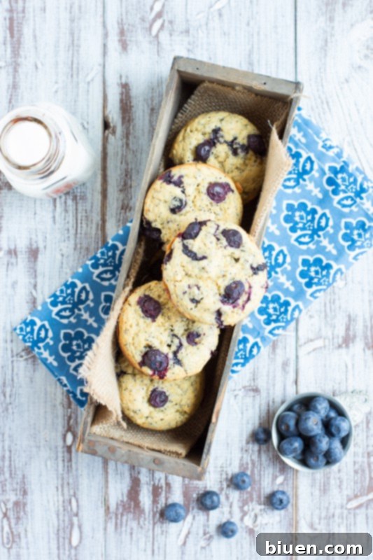 Bright Blueberry Lemon Poppy Seed Muffins 3 Super Moist Blueberry Lemon Poppy Seed Muffins with Greek Yogurt