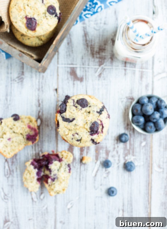 Bright Blueberry Lemon Poppy Seed Muffins 4 Fresh Blueberries for Lemon Poppy Seed Muffins
