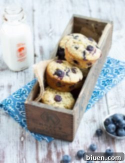 Bright Blueberry Lemon Poppy Seed Muffins 8 Finished Blueberry Lemon Poppy Seed Muffins