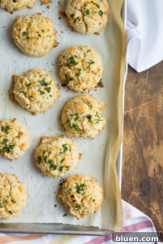 Close-up of fluffy Gluten-Free Chesapeake Cheddar Bay Biscuits