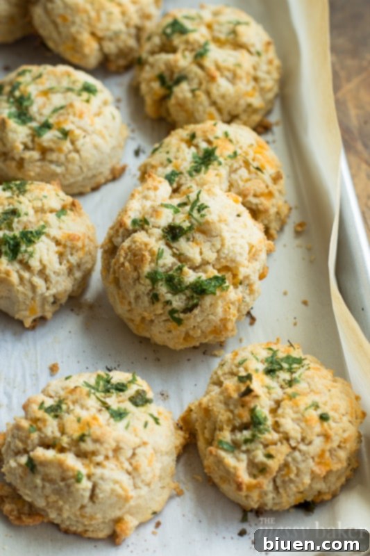 Golden brown Gluten-Free Chesapeake Cheddar Bay Biscuits cooling on a rack