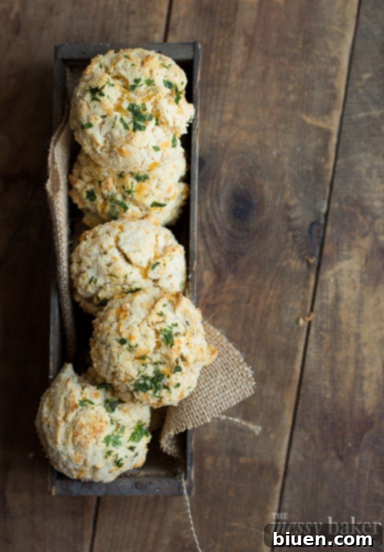 Ingredients for Gluten-Free Chesapeake Cheddar Bay Biscuits laid out