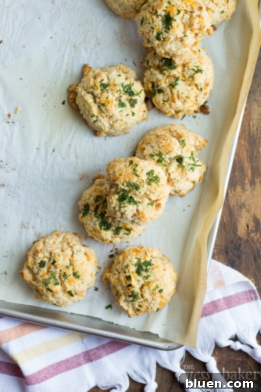 Freshly baked Gluten-Free Chesapeake Cheddar Bay Biscuits on a baking sheet