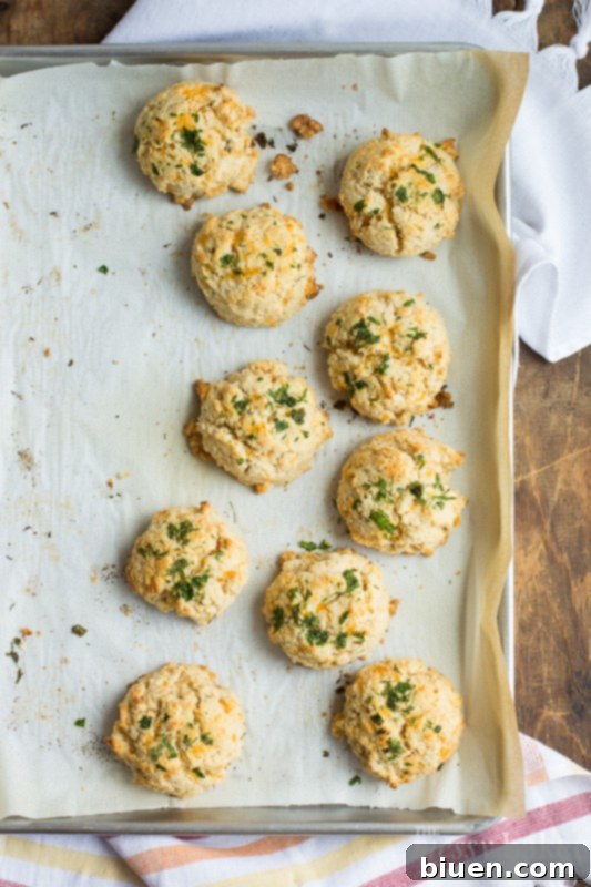 A basket full of Gluten-Free Chesapeake Cheddar Bay Biscuits ready to serve