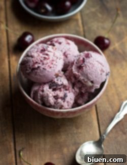 Final plated serving of homemade Toasted Almond & Cherry Ice Cream.