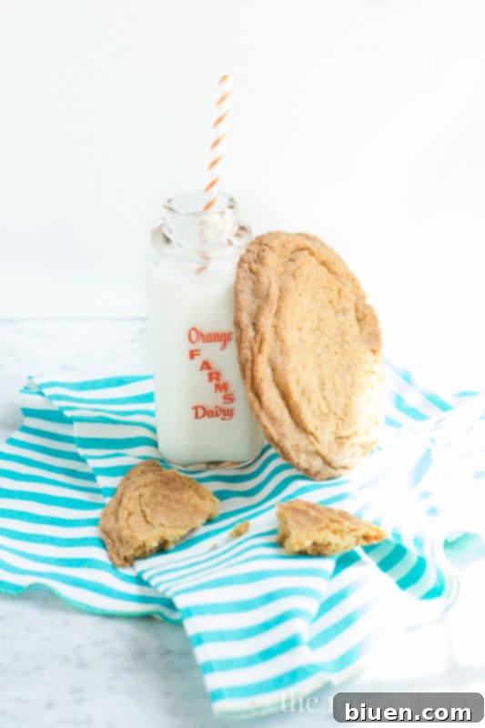 Raw giant brown sugar snickerdoodle cookie dough balls coated in cinnamon sugar, ready for baking.
